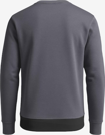 FORSBERG Sweatshirt 'Alvarson Sweatshirt' in Grey: front