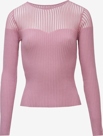 Salsa Jeans Trui in Roze: voorkant