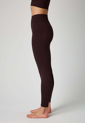 OCEANSAPART Kitsas Spordipüksid 'Maya', värv pruun