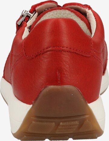 ARA Sneaker in Rot