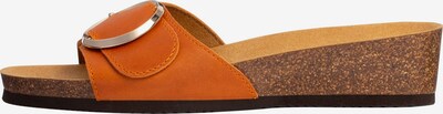 SCHOLL Pantolette 'AMALFI MULE' in orange, Produktansicht