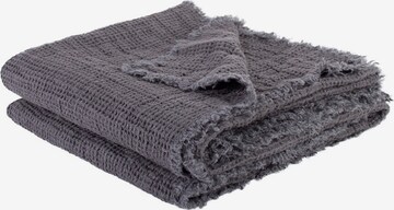 ZOEPPRITZ Blankets 'Honeybee' in Grey: front