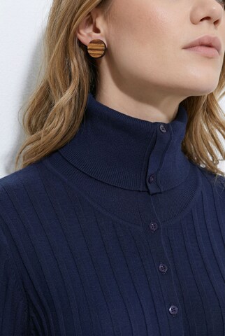Ulla Popken Pullover in Blau