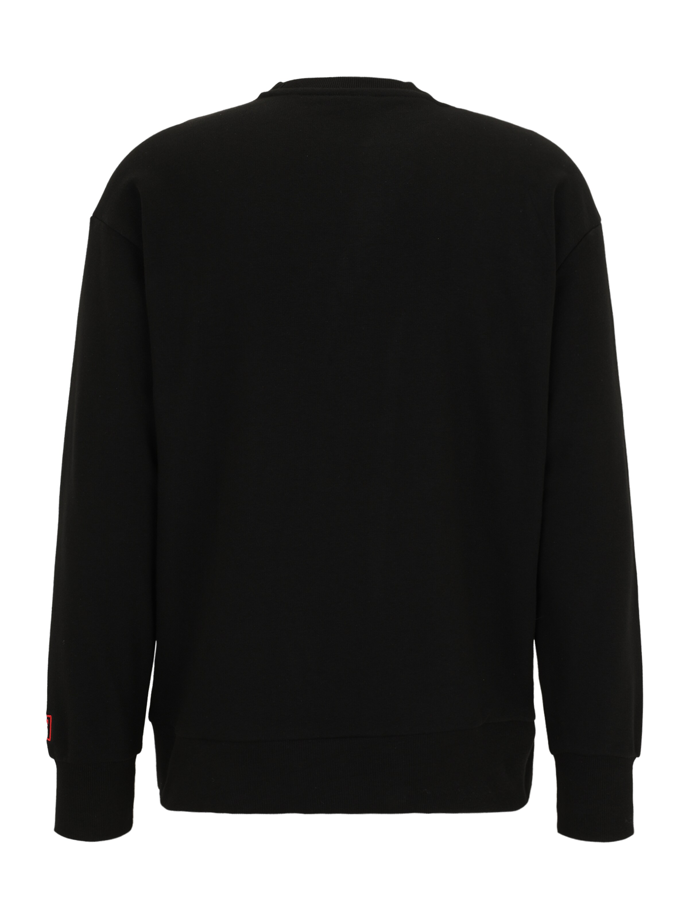 Pull-over de sport 'LUSIGNY' FILA en noir : derrière