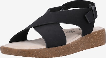 Cruz Sandals in Black: front