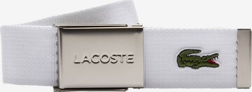 Cintura di LACOSTE in bianco