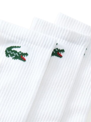 LACOSTE Socks '6PK WHITE' in White
