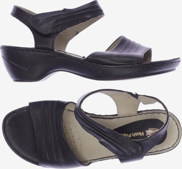 HUSH PUPPIES Sandals & High-Heeled Sandals in 39 in Black: front