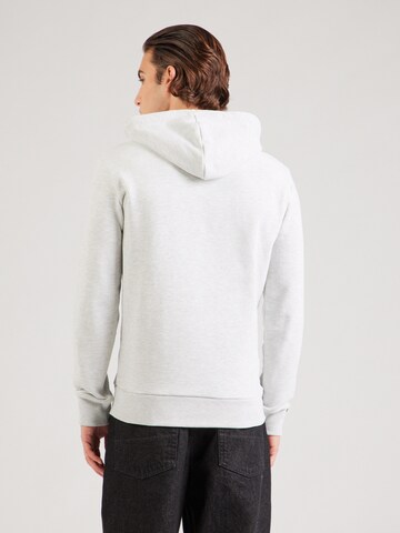 Superdry - Sudadera 'Mountain' en gris