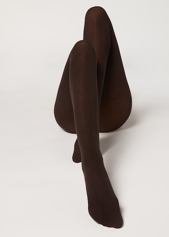 CALZEDONIA Tights in Brown