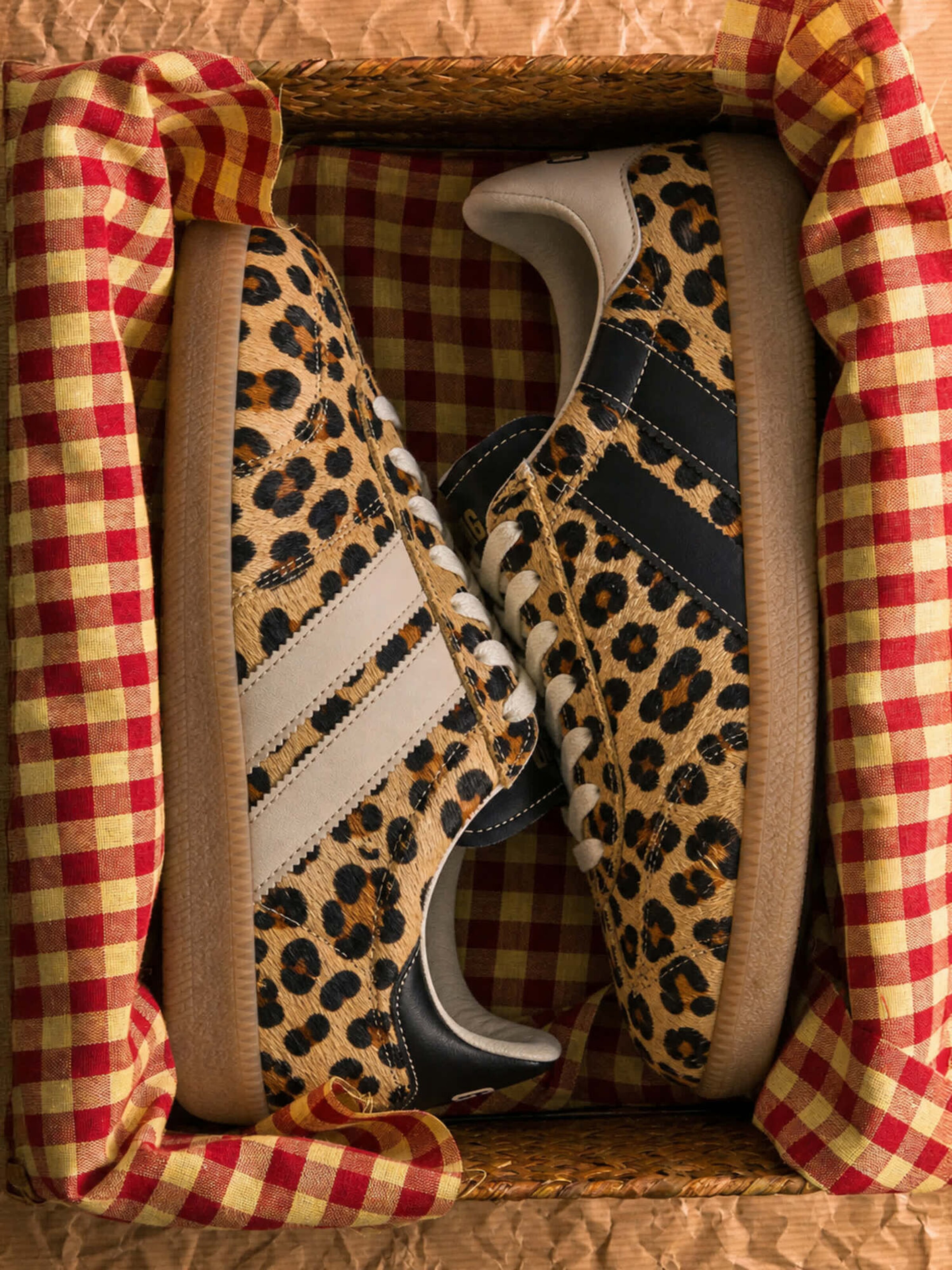 Caval Sneakers ' PULSE ' in Brown