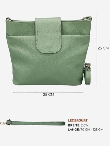 Brise Crossbody Bag 'Ellie' in Green