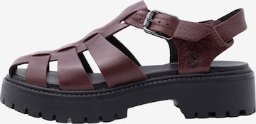 Sandales à lanières 'Fisherman' TIMBERLAND en marron : devant