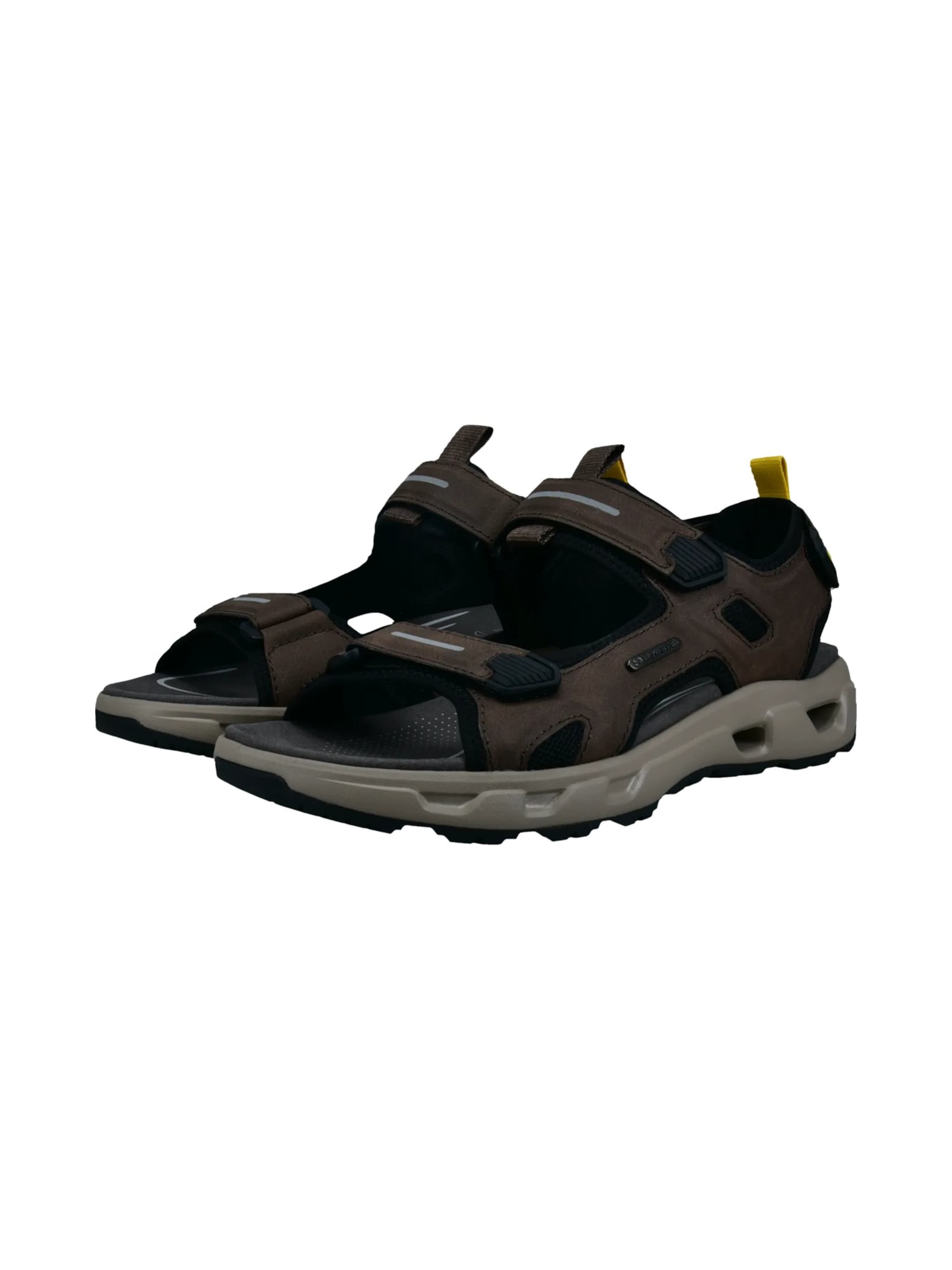 SALAMANDER Sandals in Brown