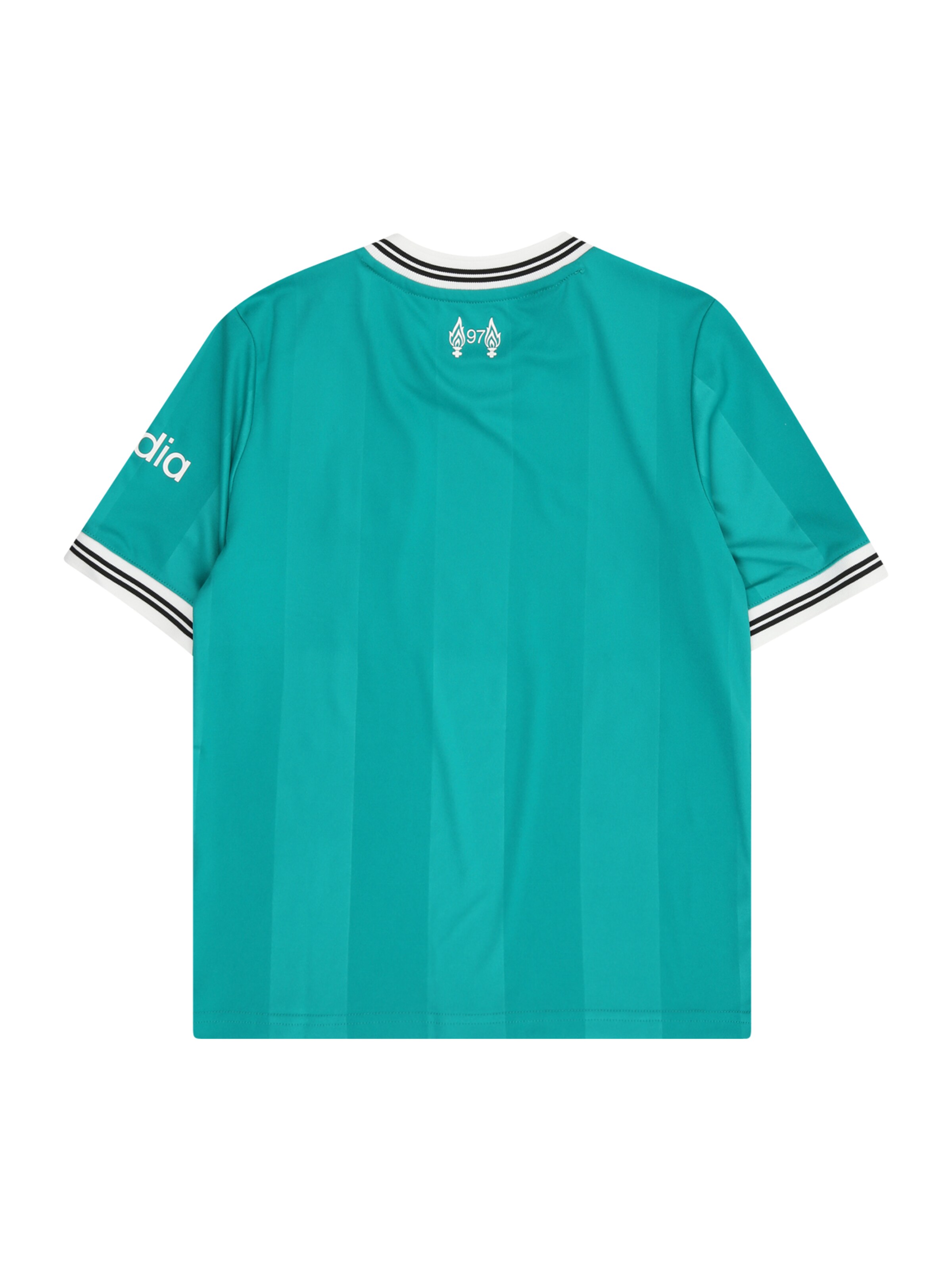 ADIDAS PERFORMANCE Funktionstopp 'FC Liverpool 25-26' i grön