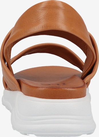 ILC Sandalen met riem in Bruin