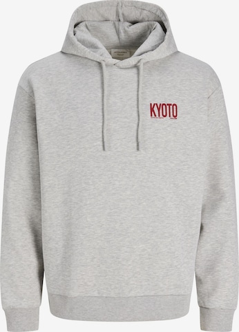 Felpa di JACK & JONES in grigio: frontale