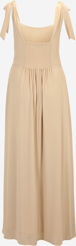 TFNC Plus Dress in Brown