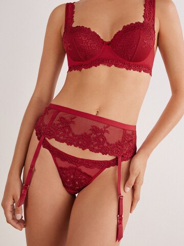 INTIMISSIMI Garter Belt in Red