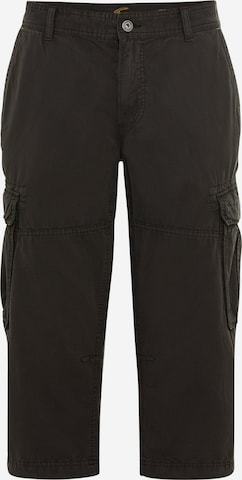 CAMEL ACTIVE Regular Cargo Pants in Grey: front