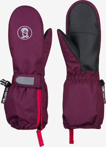 TROLLKIDS Gloves in Brown: front