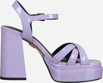 BUFFALO Pumps in Purple