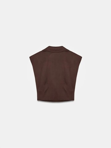 Dilvin Shirt in Brown
