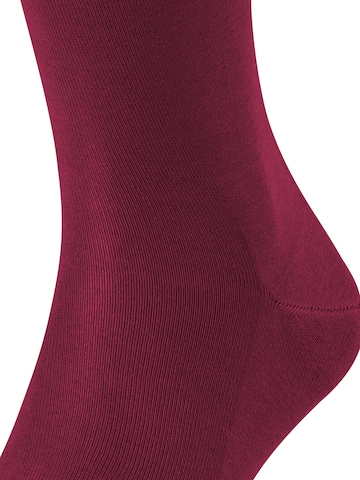 FALKE Knee High Socks 'Tiago' in Red