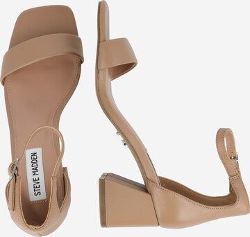 STEVE MADDEN Sandalen met riem 'EPIX' in Bruin