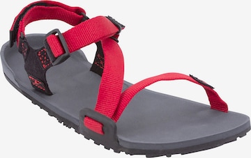 Xero Shoes Sandals & Slippers 'Z-Trail' in Red: front