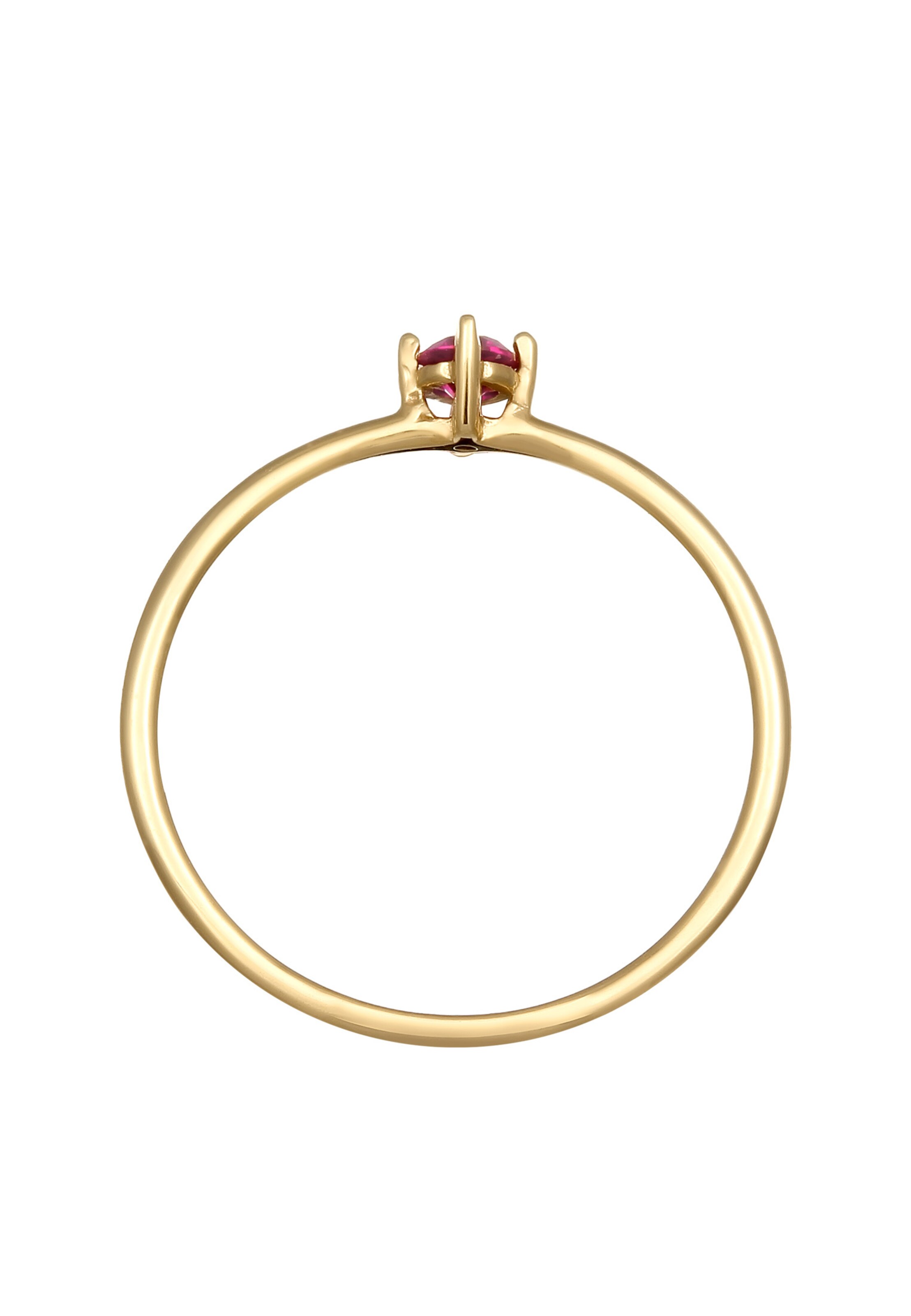 ELLI PREMIUM Ring in Goud