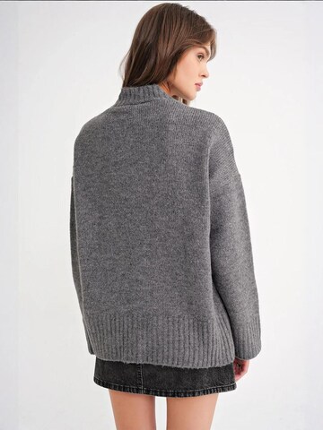 Giacchetta extra large di MixRay in grigio