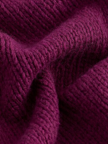 Next Sweater in Purple