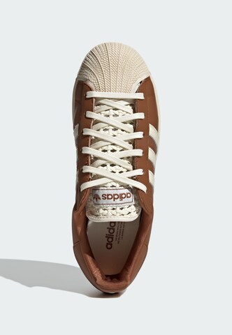 ADIDAS ORIGINALS Sneaker 'Superstar II' in Braun