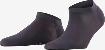 FALKE Füßlinge 'Fine Softness' in Blau: Vorderseite