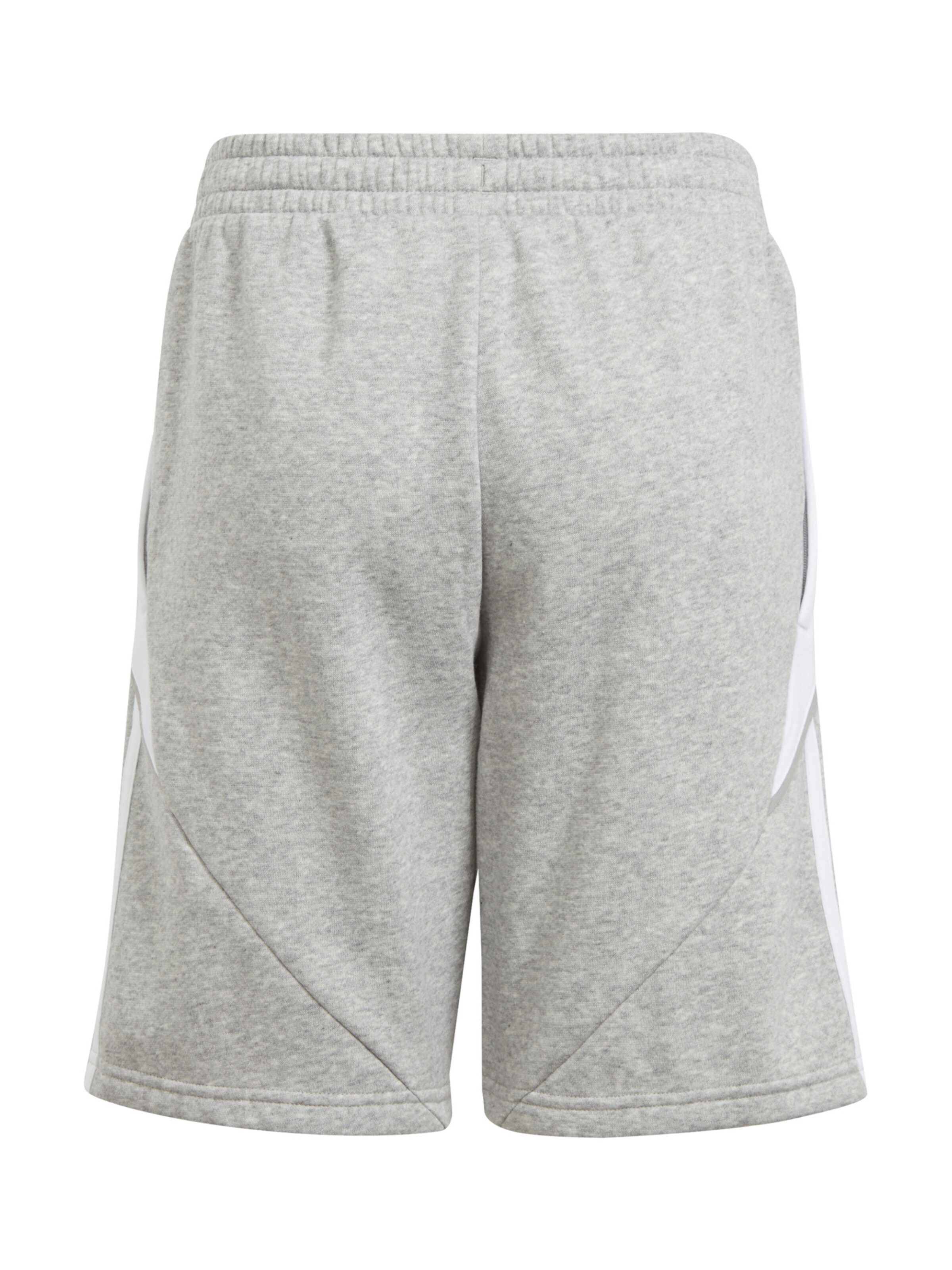 ADIDAS PERFORMANCE Regular Sportshorts 'Tiro 24' in Grau