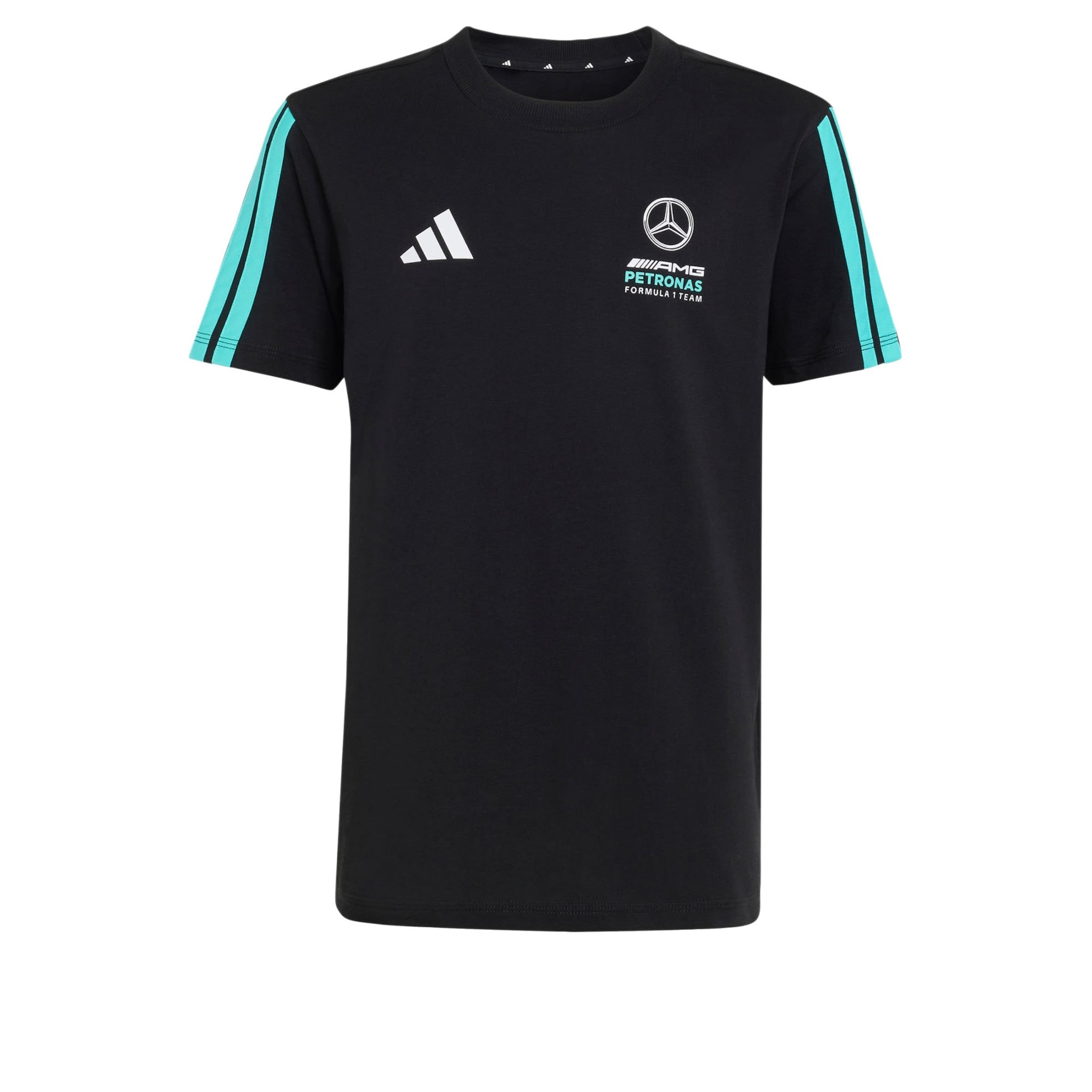 ADIDAS PERFORMANCE - Camiseta funcional 'Mercedes-AMG Petronas Formula 1 Team' en negro: frente