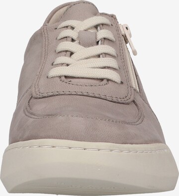 Softinos Sneakers in Grey