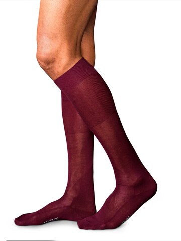 FALKE Knee High Socks 'No. 9 Pure Fil d´Écosse' in Red