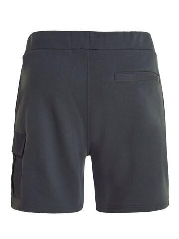 PROTEST Loosefit Sporthose 'PRTOHREN'‌‌‌ in Grau