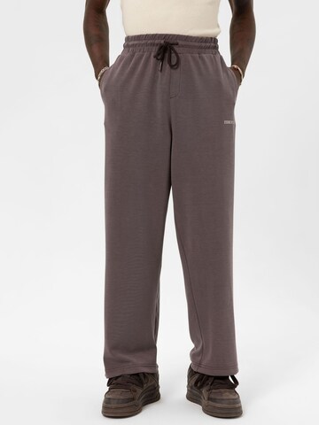 Loosefit Pantaloni 'Japanese Anemone' di VAMOS CLO in marrone: frontale