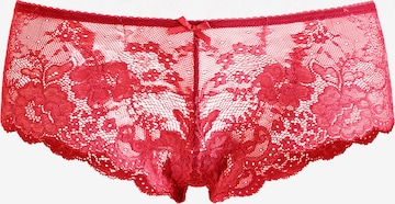 LASCANA Regular Panty in Rot: predná strana