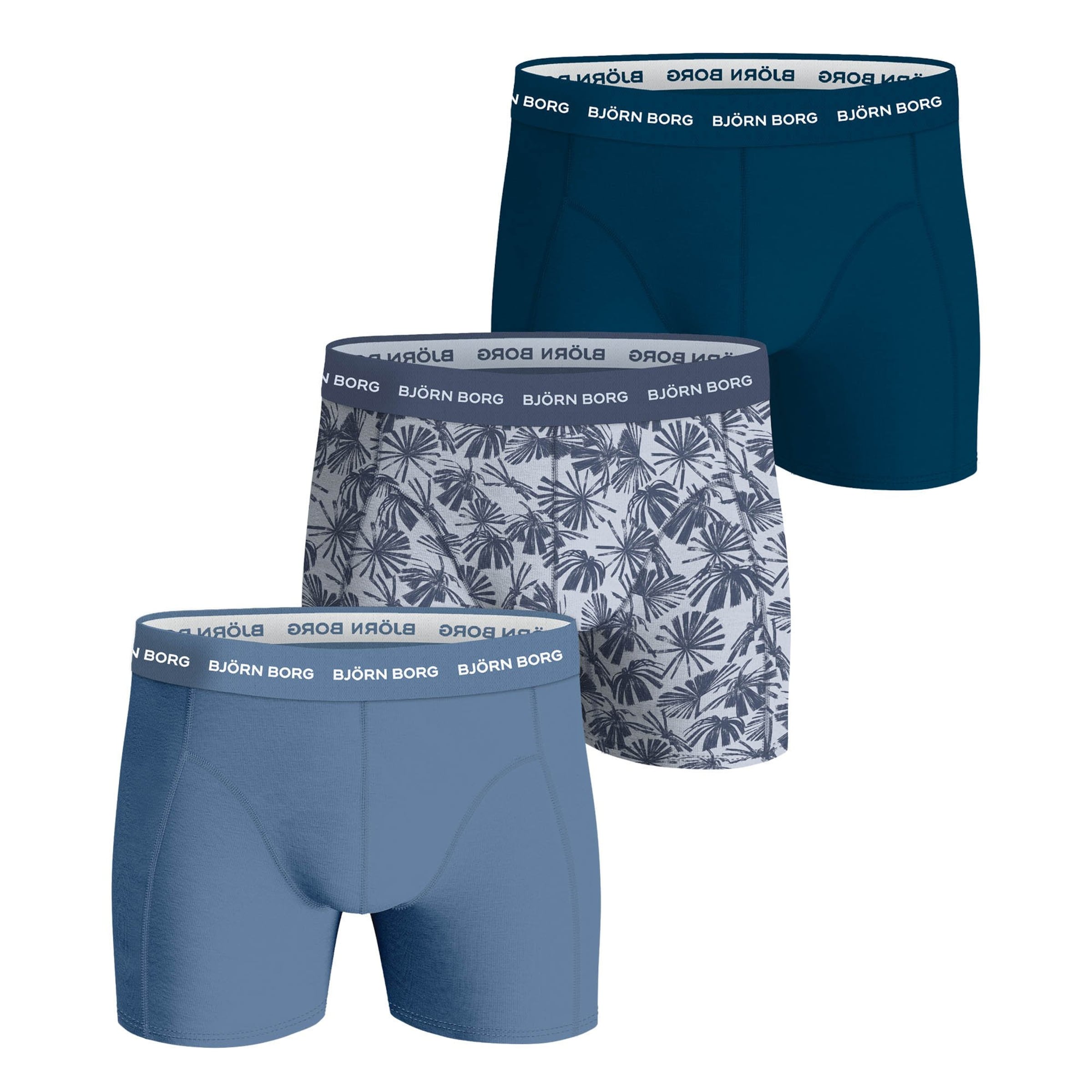 BJÖRN BORG Sports underpants in Blue: front