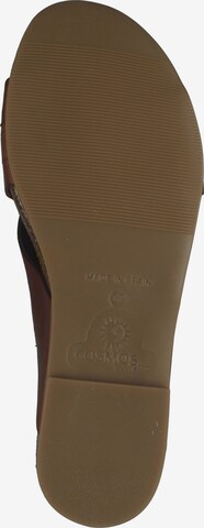 COSMOS COMFORT Mules in Brown