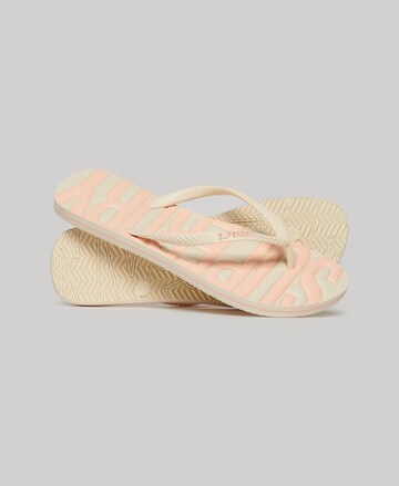 Superdry Teenslipper in Beige