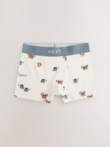Next Badehose in Mischfarben