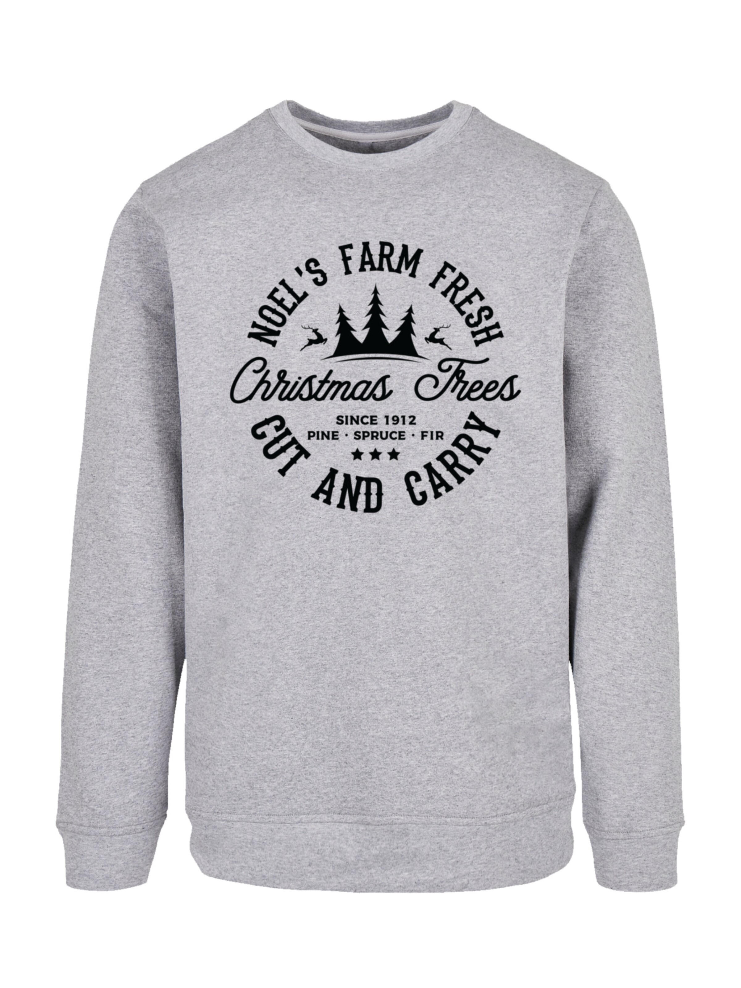 Sweat-shirt 'Christmas Trees Farm' F4NT4STIC en gris : devant