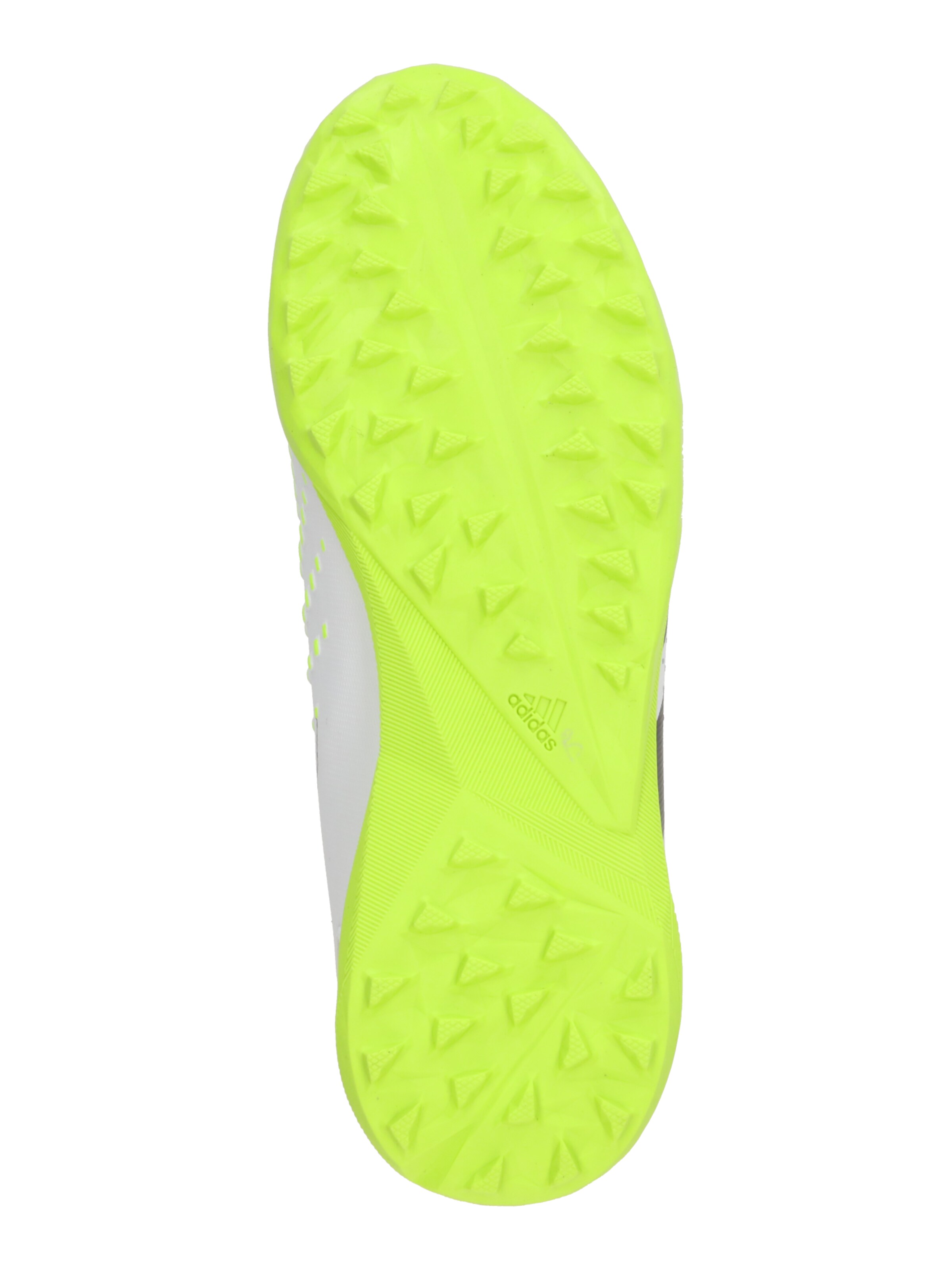 ADIDAS PERFORMANCE Sportsko 'Predator Accuracy.3' i vit