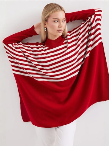 Bigdart Trui in Rood