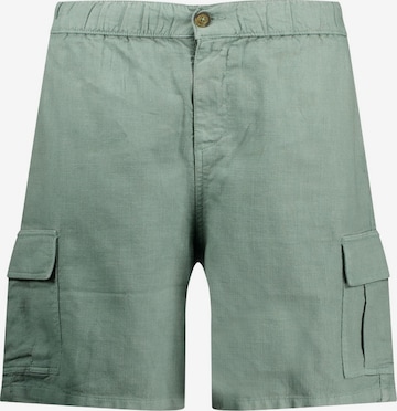 Loosefit Pantalon cargo Deeluxe en vert : devant